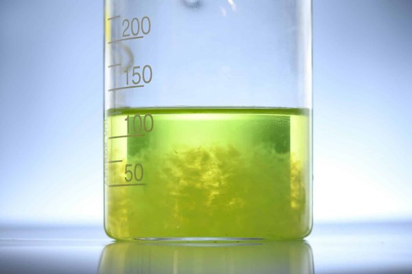 What's the Potential for Algae Biofuels in the UK's Energy Sector?
